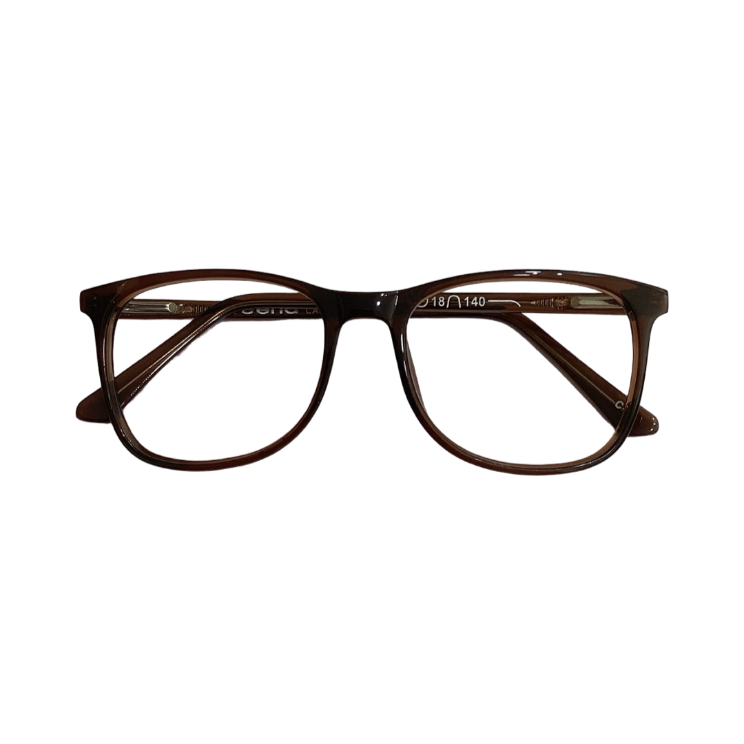 Veena V027 Acetate Brown Wayfarer Full Frame 54
