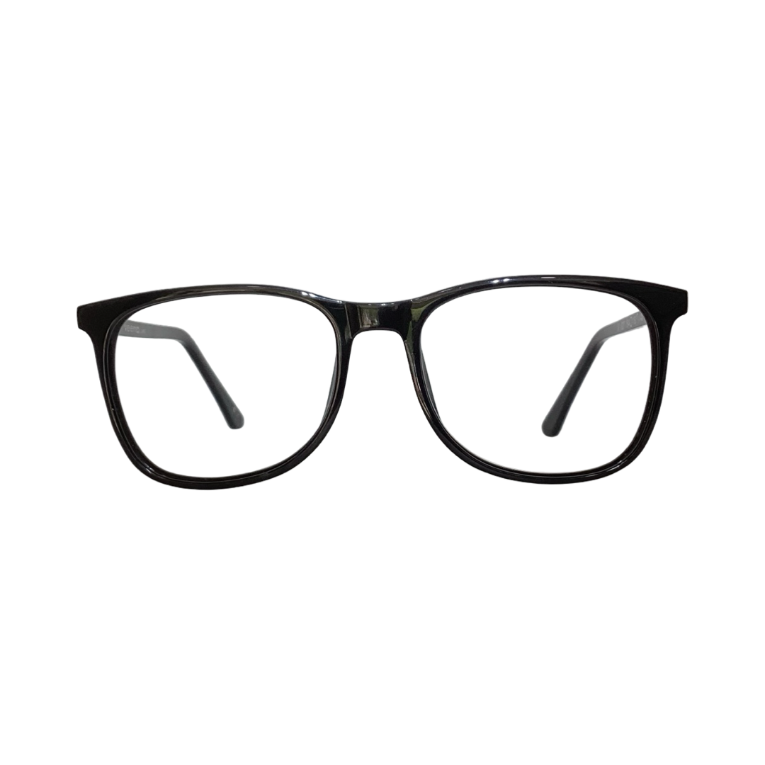Veena V027 Acetate Black Marron Wayfarer Full Frame 54