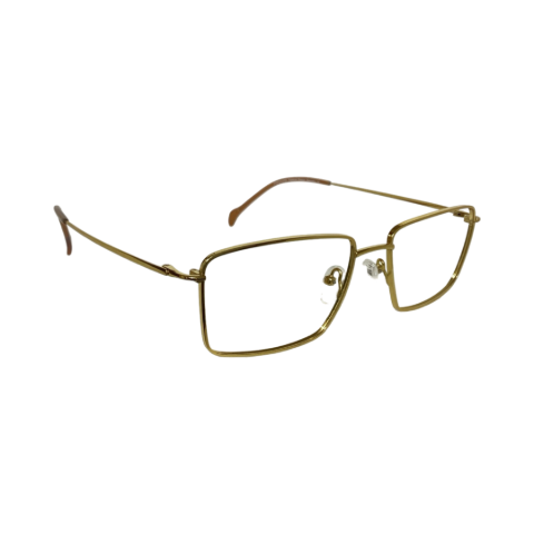 Provo Pt5815 Titanium Gold Square Full Frame 54