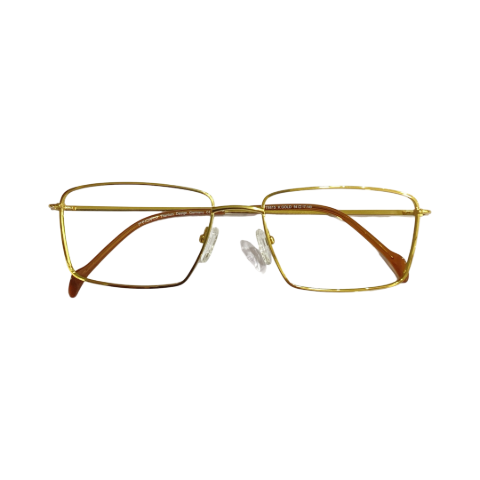 Provo Pt5815 Titanium Gold Square Full Frame 54