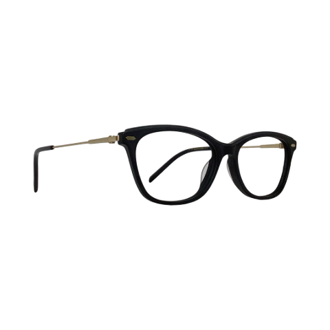Agnisbi Bi0494 Acetate Black Gold Cat Eyes Full Frame 53
