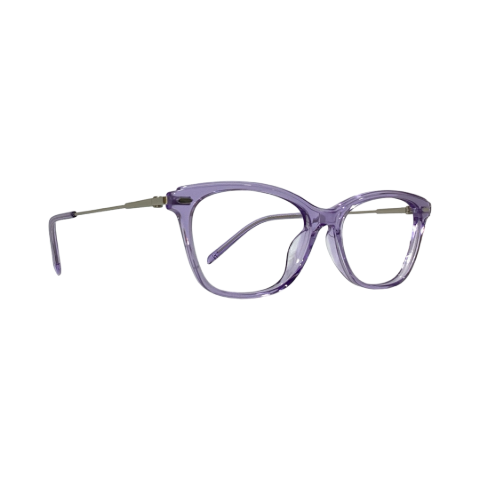 Agnisbi Bi0494 Acetate Purple Cat Eyes Full Frame 53
