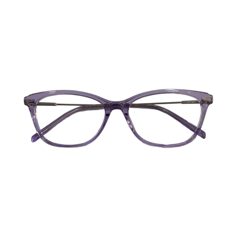 Agnisbi Bi0494 Acetate Purple Cat Eyes Full Frame 53