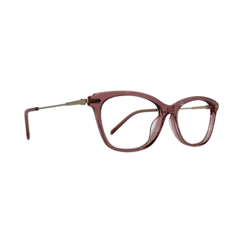 Agnisbi Bi0494 Acetate Wine Cat Eyes Full Frame 53