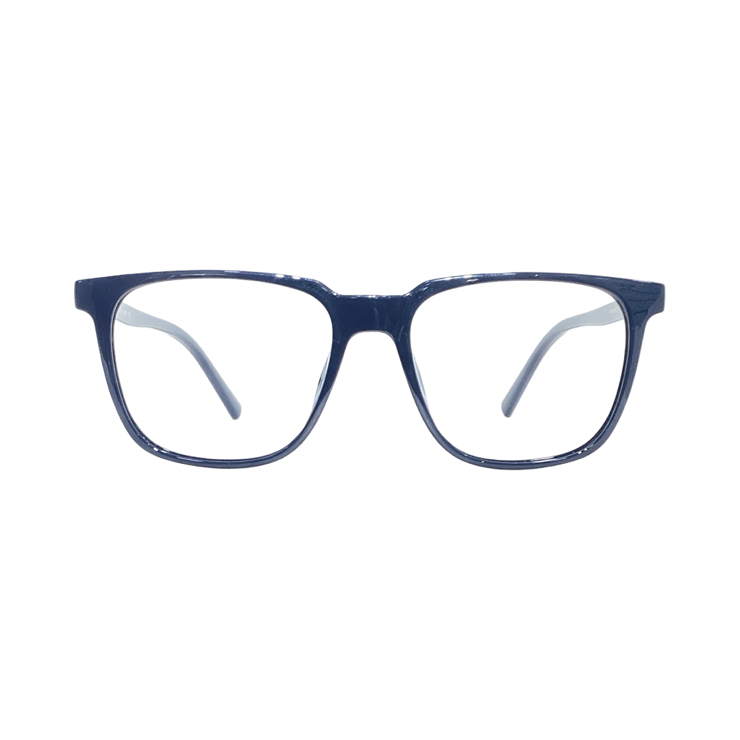 Tommy Hilfiger Th1114 Acetate Blue Wayfarer Full Frame 53