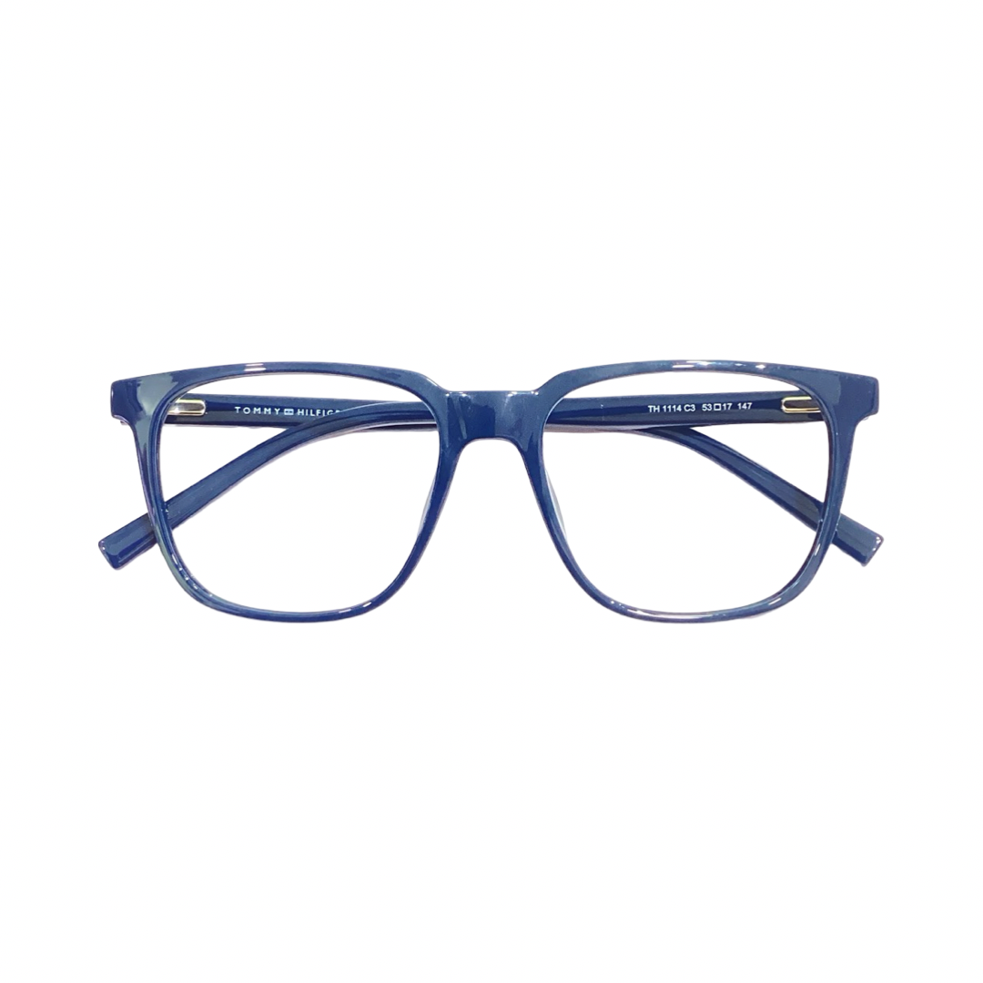 Tommy Hilfiger Th1114 Acetate Blue Wayfarer Full Frame 53